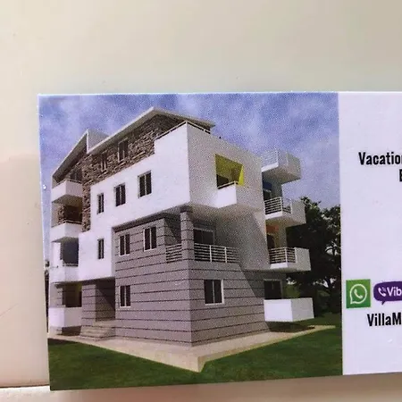 Mimoza Hotel *